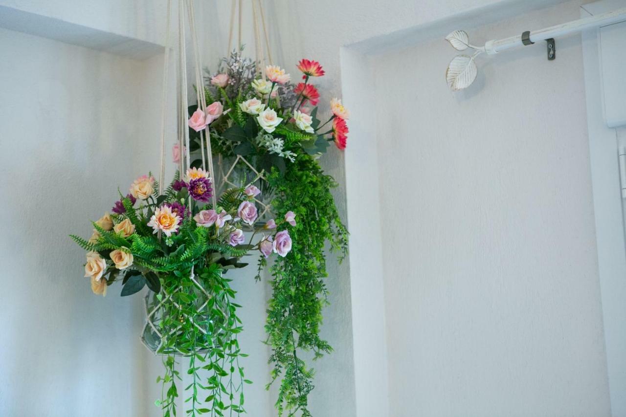 Apartmán Anna Nikiti  Exteriér fotografie