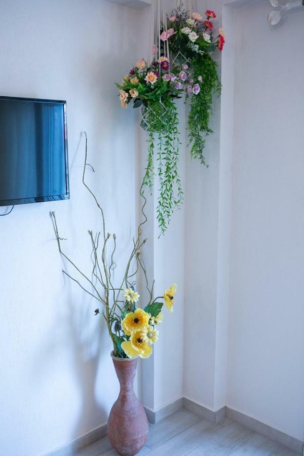 Apartmán Anna Nikiti  Exteriér fotografie